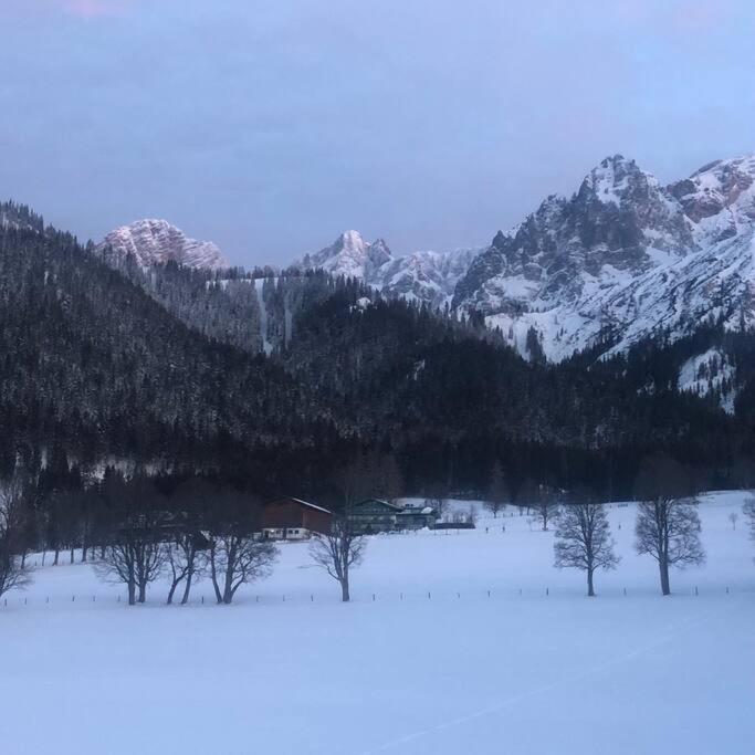 Family Appartment - Dachstein View رامساو أم داتشستين المظهر الخارجي الصورة